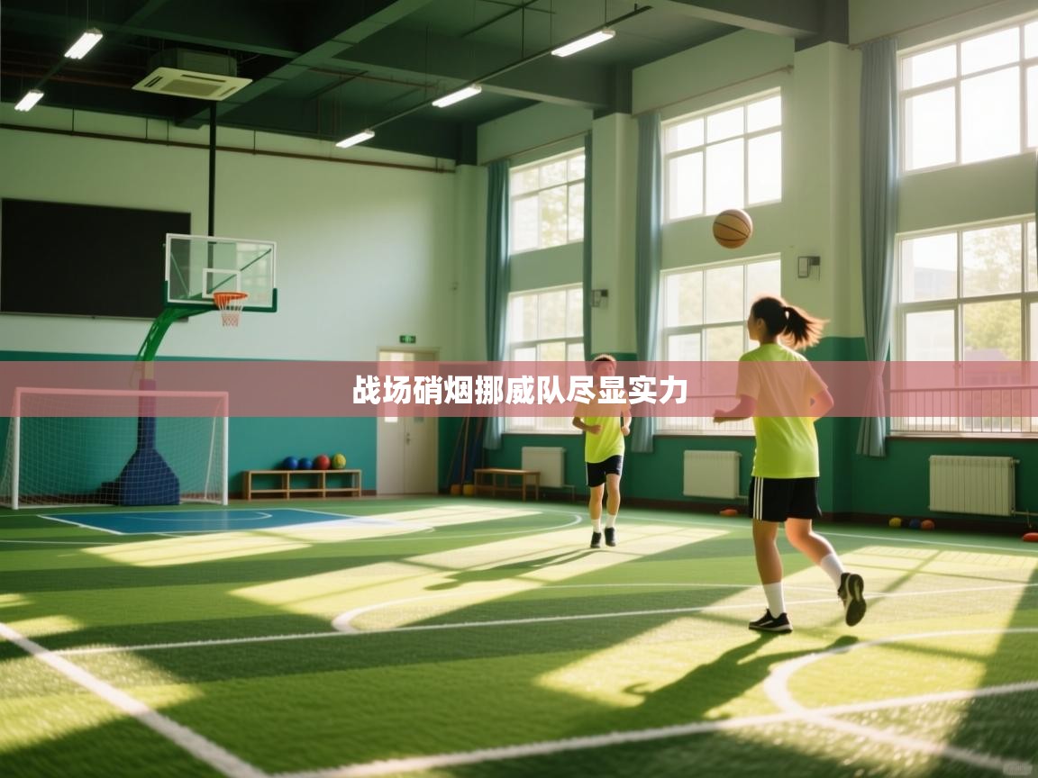 战场硝烟挪威队尽显实力  第1张